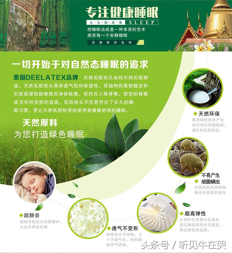 podetex乳胶枕是泰国品牌吗 (泰国deelatex乳胶枕)