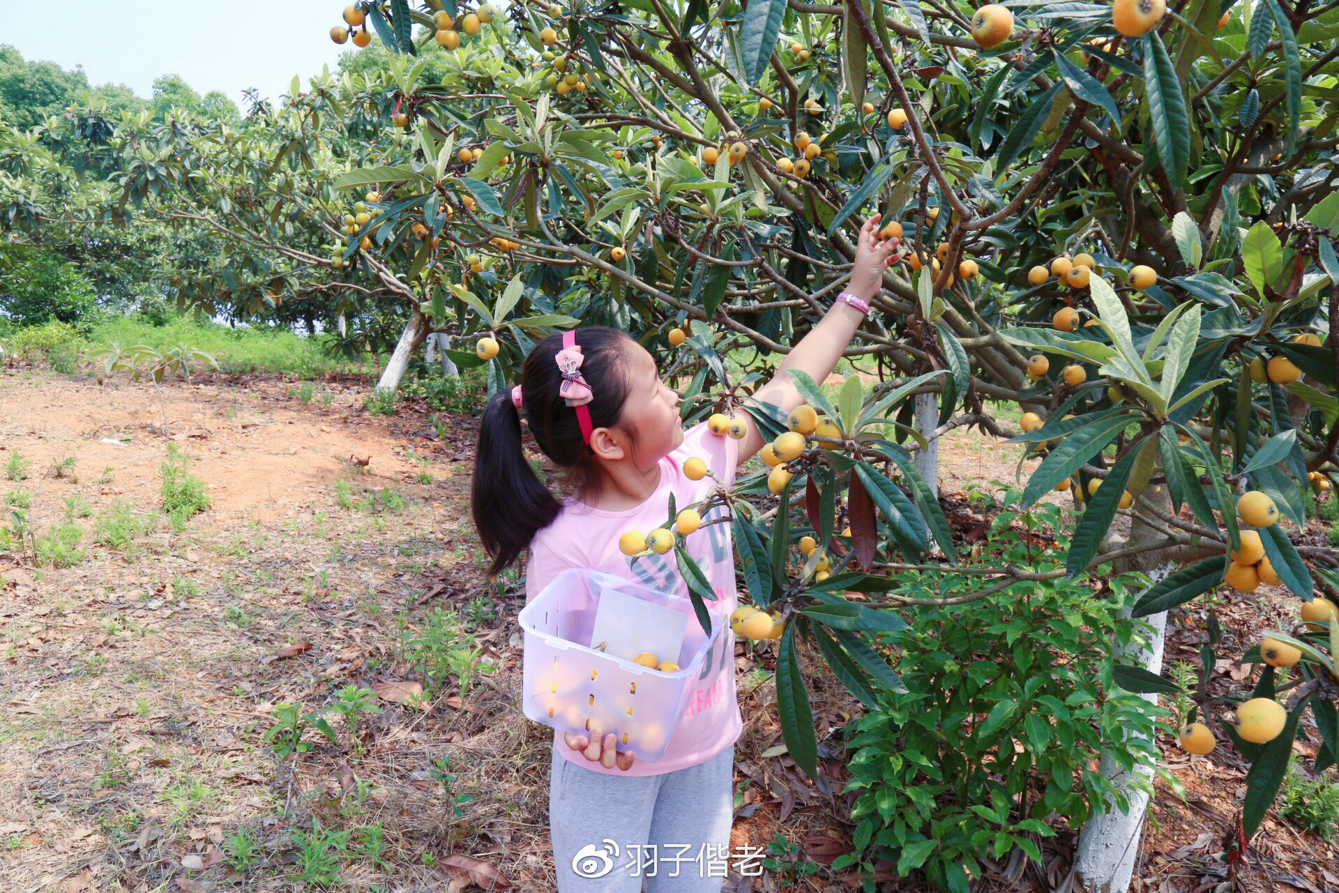 溧阳日日春农庄一日游,溧阳日日春农庄