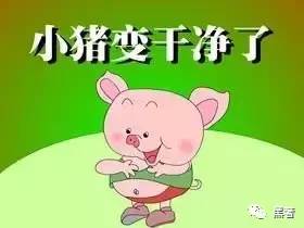 讲真的你视频完整版,讲真的你改编版视频