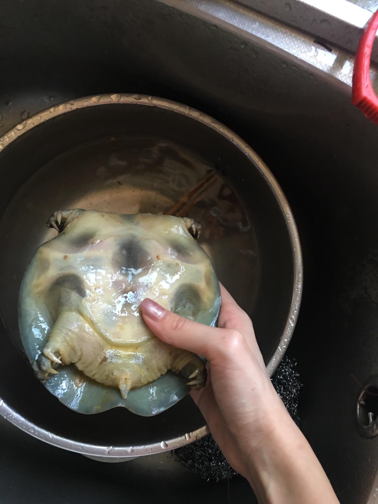 甲鱼汤的做法放什么药材,甲鱼汤的做法小孩能喝吗