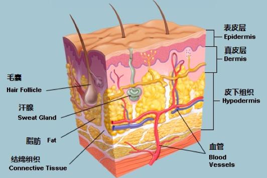 俏颜水润面膜好用吗,敷面膜的误区是真的吗