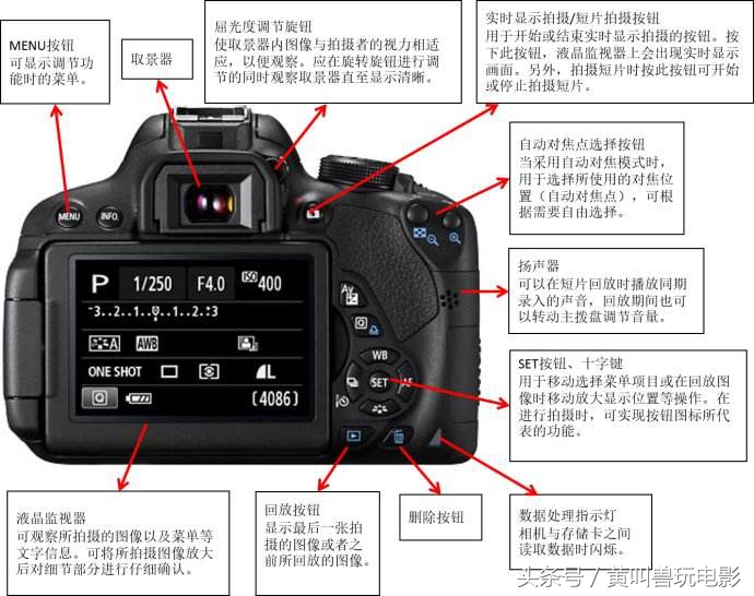 《干货-干货》2017短视频创作步骤-和我玩爆自媒体
