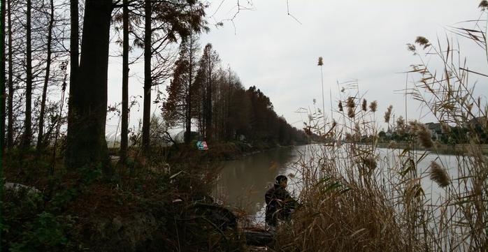 有毛不算秃含义,有毛不算秃怎么回复