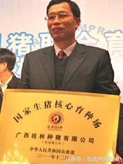 养猪:现有100家生猪核心育种场,未来还会增加到400家!