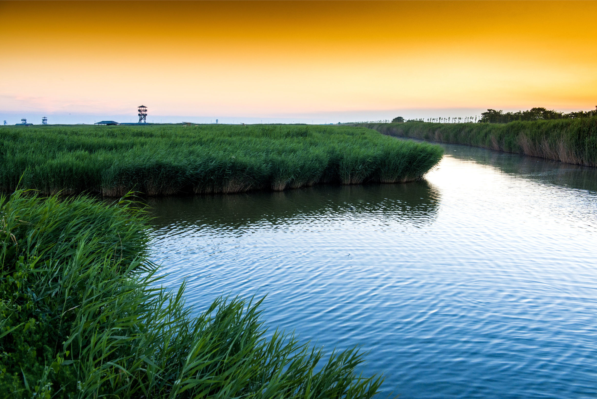 曹妃甸曹妃事件,曹妃甸区曹妃