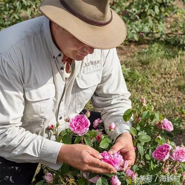 澳洲贵妇品牌大全 (好莱坞的贵妇品牌)