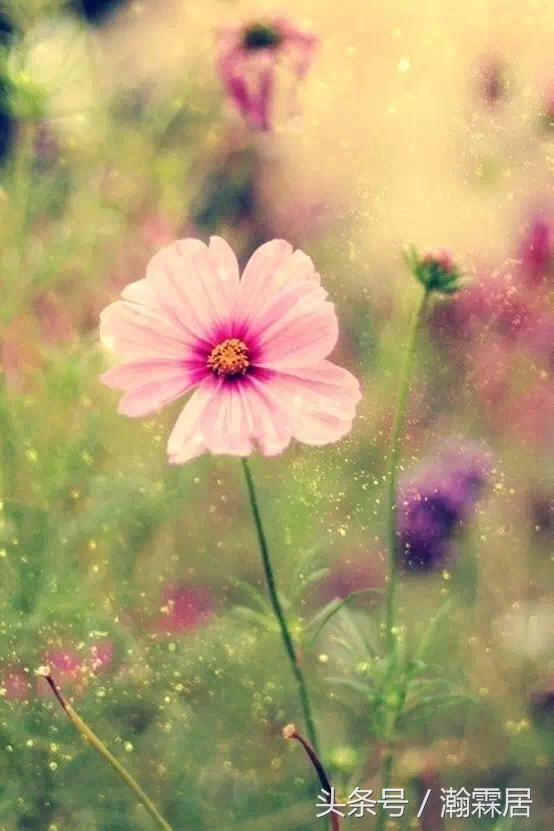 鏇胯嚜宸卞瓨涓嬪惂鐪熺殑澶毦鎵句簡,瀛樹笅鍚ф棭鏅氫細鐢ㄥ埌