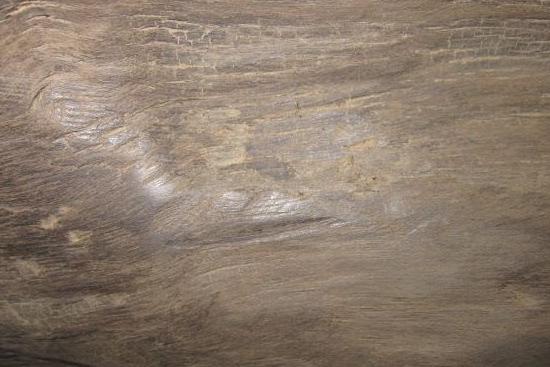 普通乌木和极品乌木的区别和价格,珍华乌木和玫瑰乌木