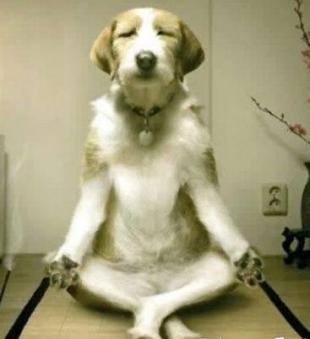 懒癌患者是什么症状,懒癌症状表现