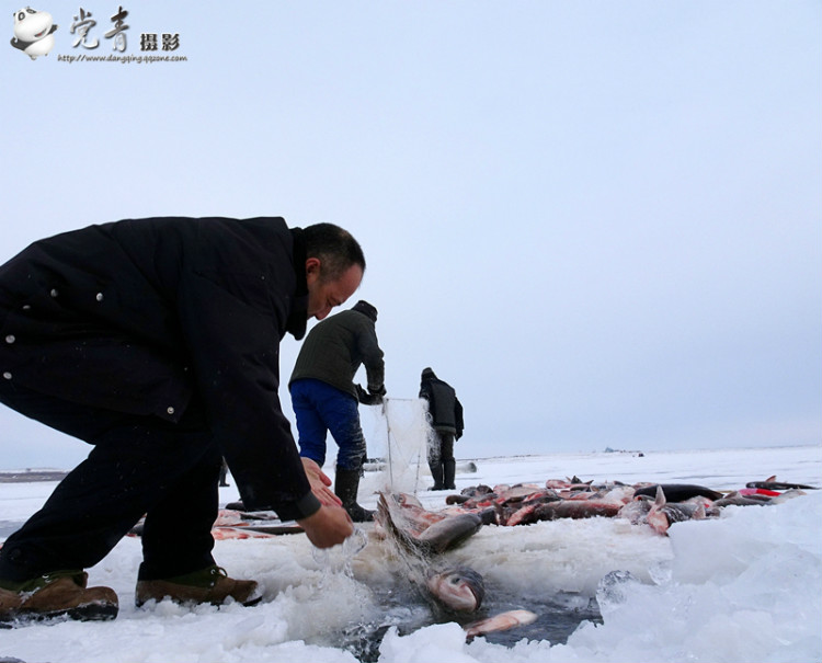 一个人眼中的成都,一个成都人眼中的四川