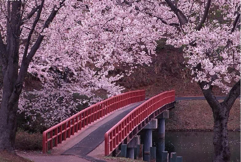 谁说我们大连人糙了，这些老地名儿都文艺的不要不要的！