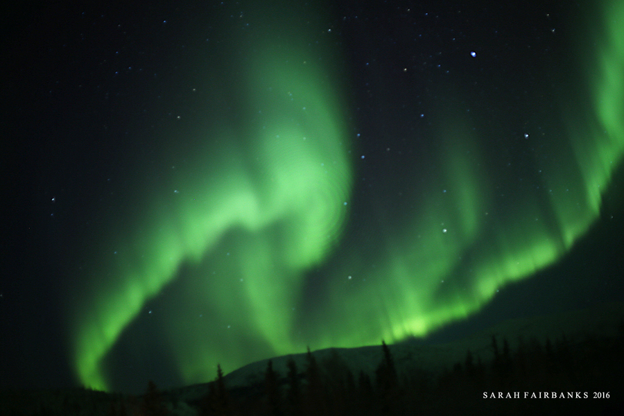 为了这束光，我们一路向北追逐而至...