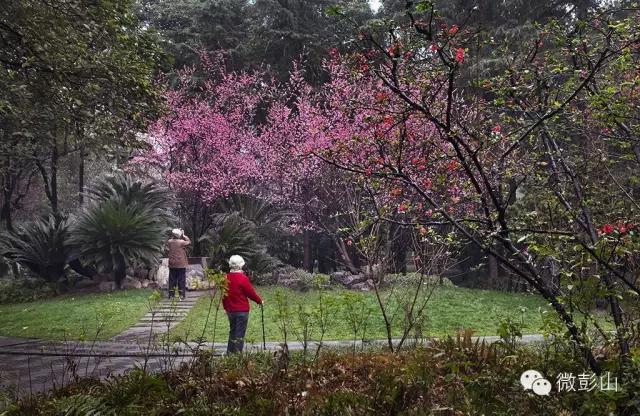 澶у江灞辩殑缇庢櫙,褰北鏄ュ鏃呮父