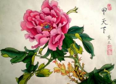 中药知识必学杜仲,中药牡丹皮的功效作用