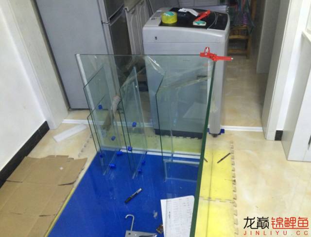 地缸推荐,家里可以搞个多大的地缸