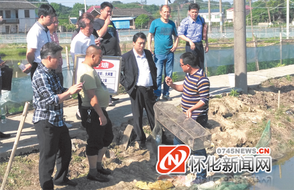 怀化龙虾养殖基地,怀化养殖龙虾基地