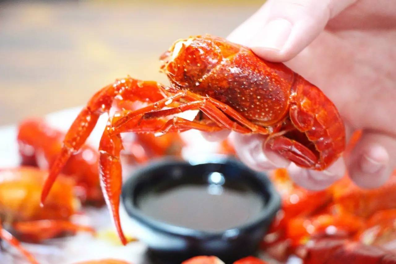 重庆99元4斤小龙虾网红店 (重庆小龙虾最火的店)