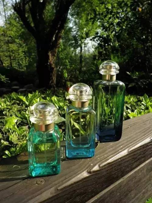 樊姐送关关的香水,樊姐送给关关什么香水