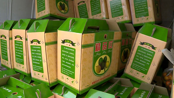 咱六师的“礼品瓜”走俏市场