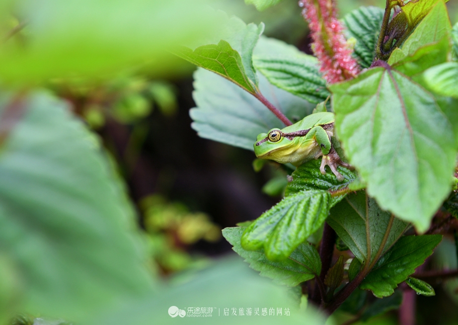 雨过天晴云破出自哪里,雨过天晴云破出处