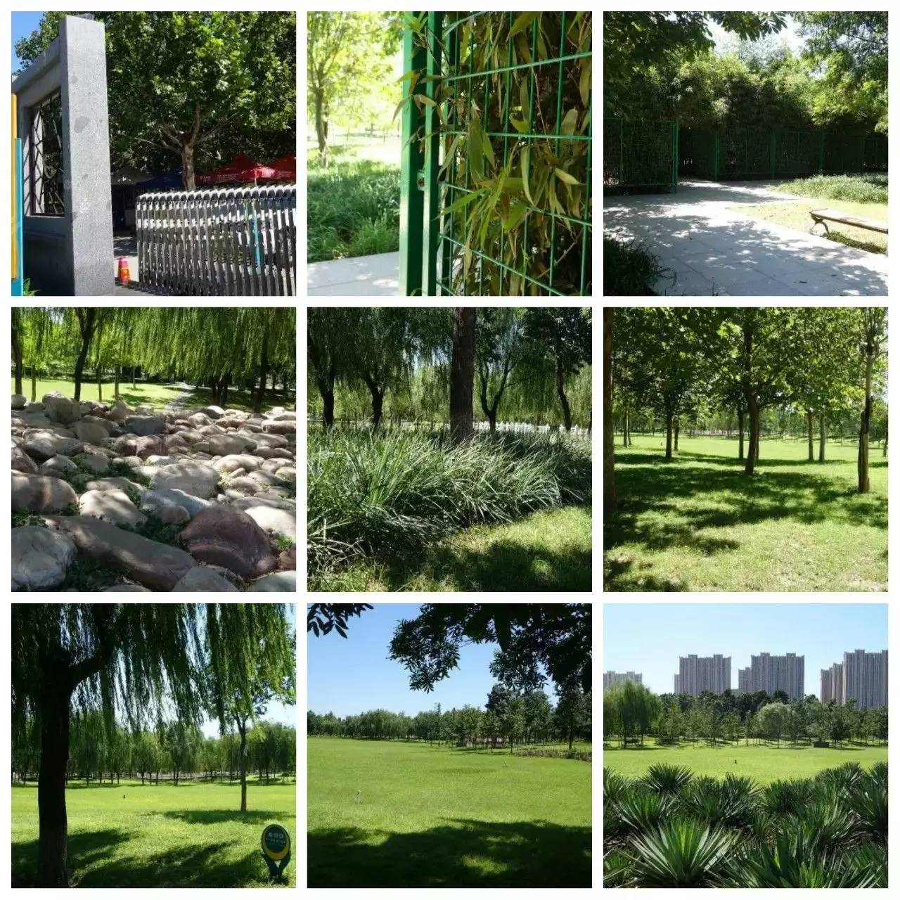 我用30万步,走遍石家庄公园