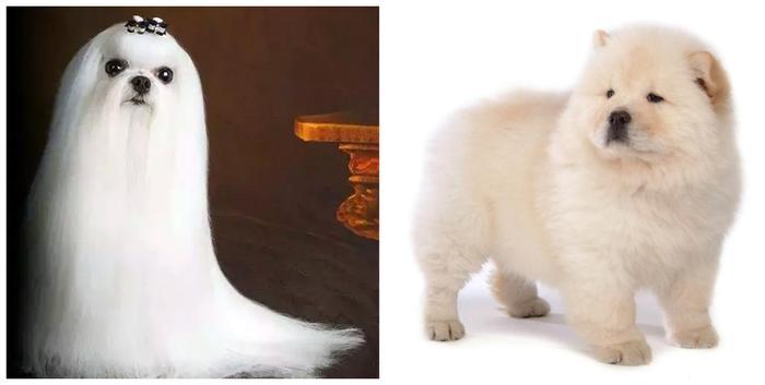 细软发质拉直很毛躁,细软发质烫法式卷偏直怎么回事