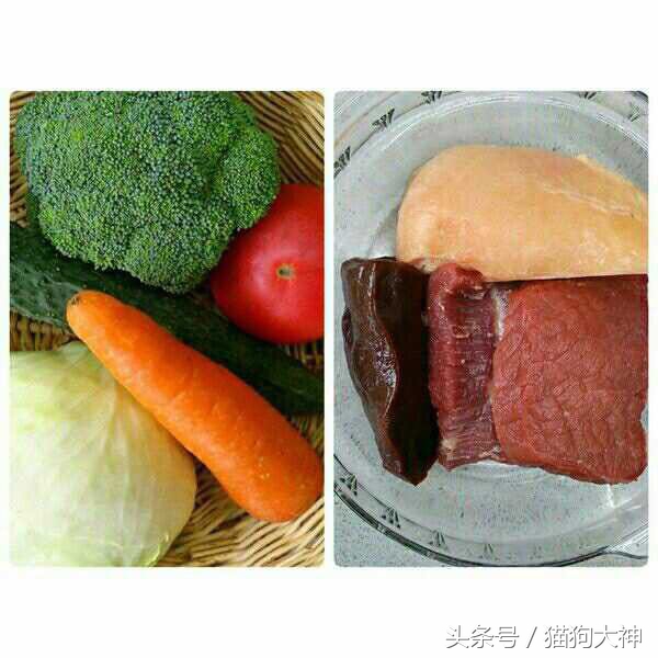 自制狗狗狗粮推荐,怎样自制经济方便的土狗狗粮