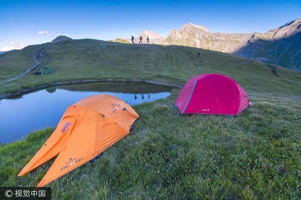 夏天撒欢露营技巧,夏天撒欢