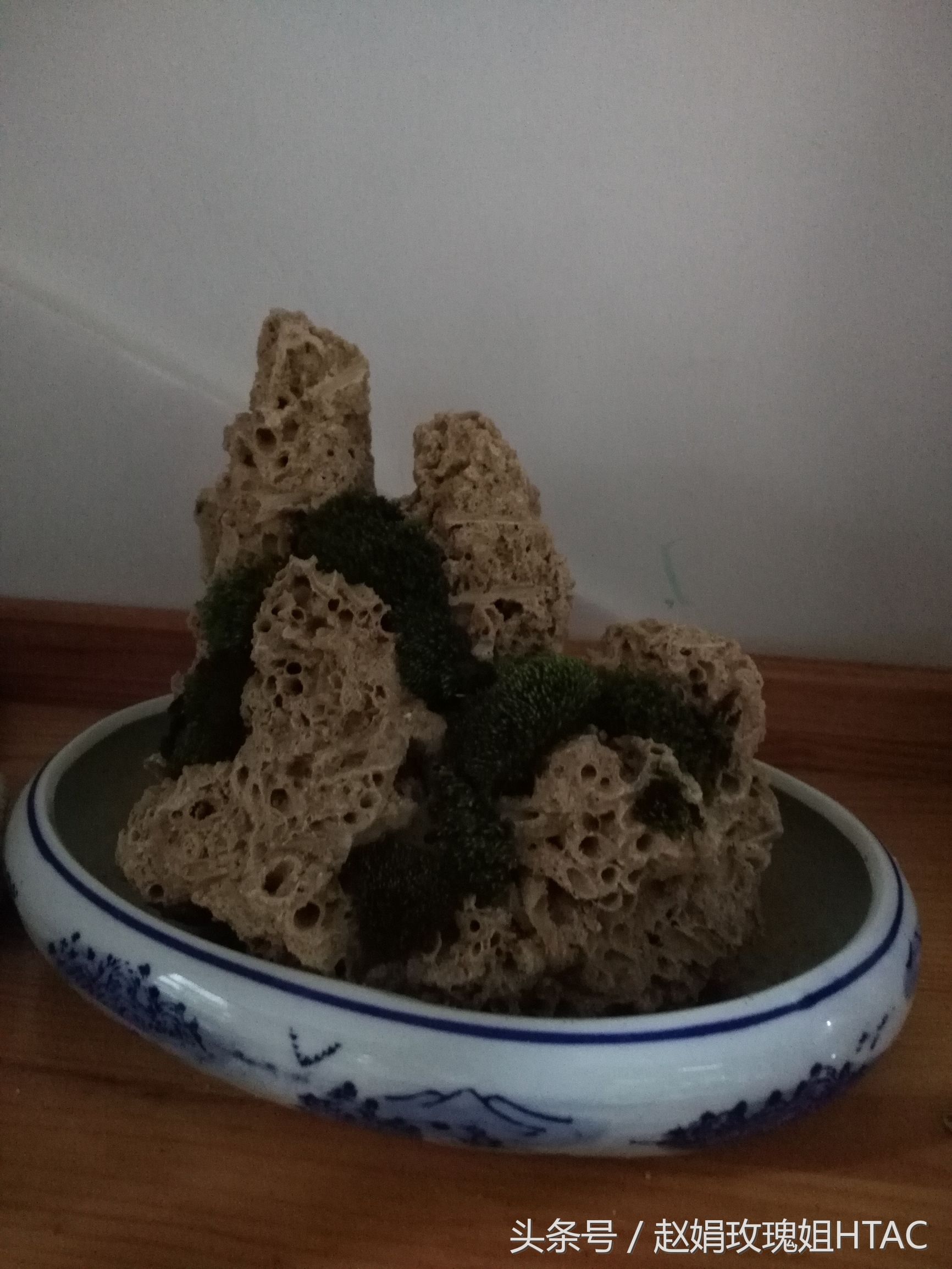 花心思精品老桩盆景,小微型吸水石盆景制作方法图解