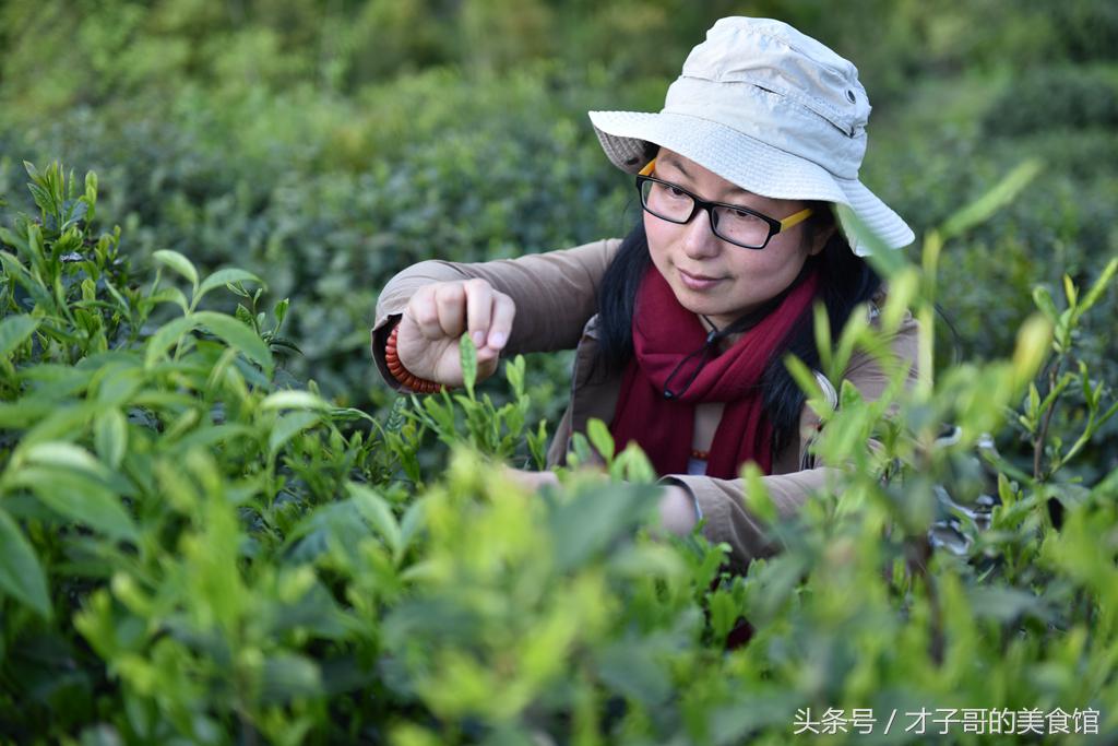 自己动手做茶的感受,自己做茶叶怎么做