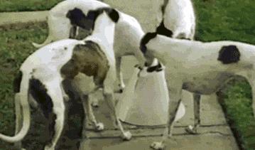 足坛那些燃爆全场的凌空抽射,足坛上不可思议的凌空抽射