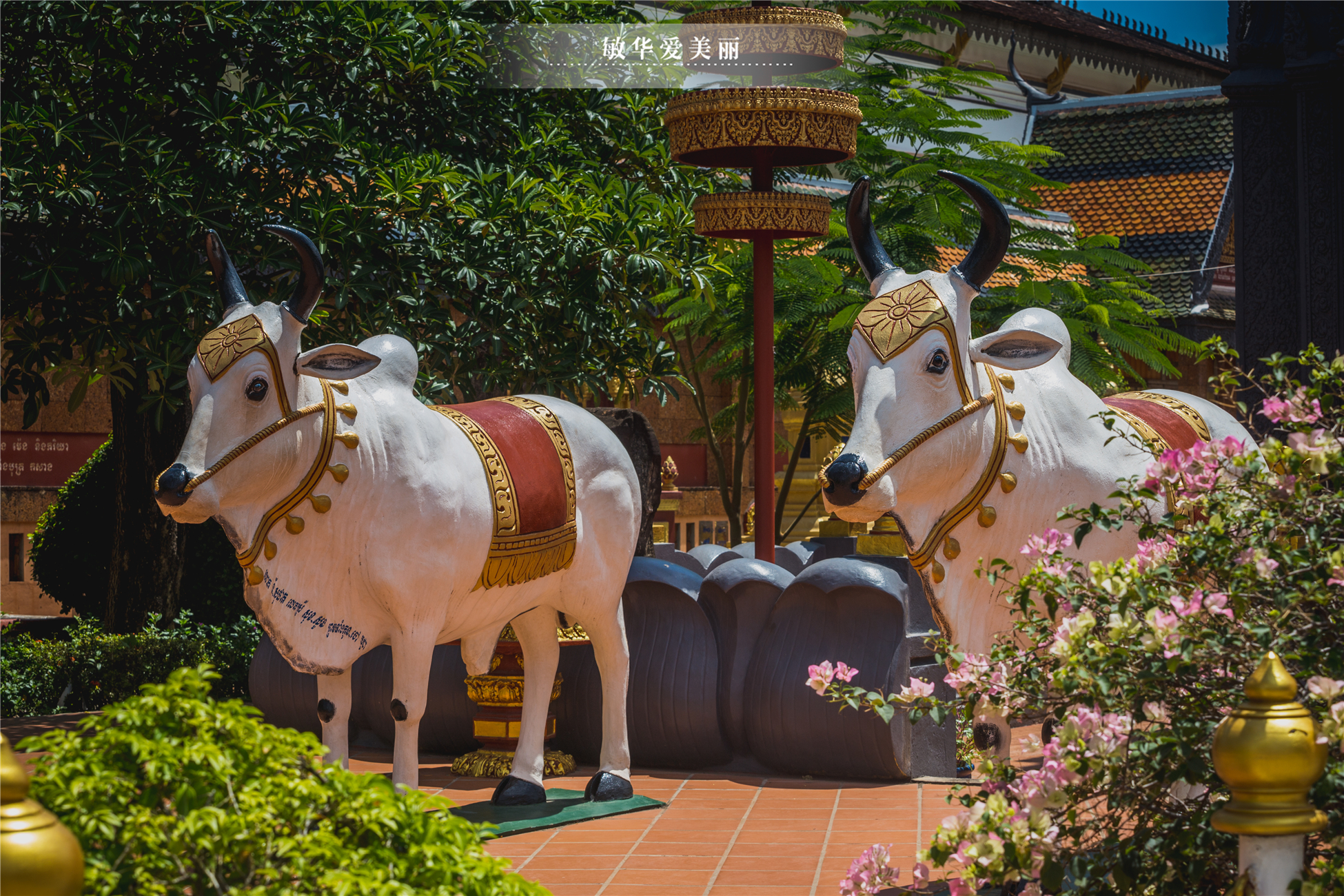 柬埔寨最厉害的寺庙叫什么,柬埔寨最灵的寺庙