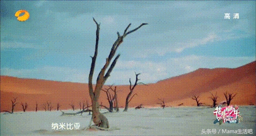 陈柏霖斑马外套同款,陈柏霖同款鞋子