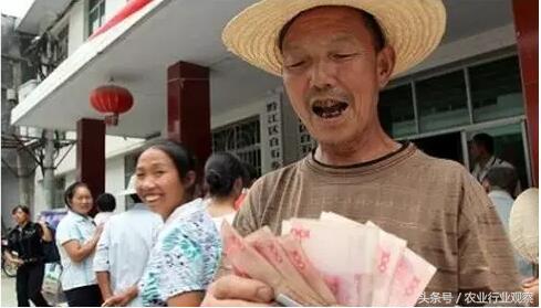 2020年合作社最佳经营模式,合作社经营模式图解