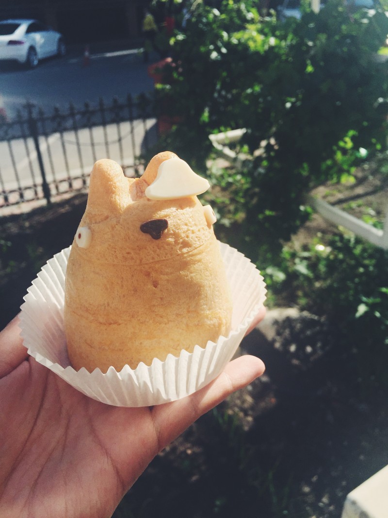 宫崎骏龙猫真实场景,龙猫宫崎骏背后的秘密