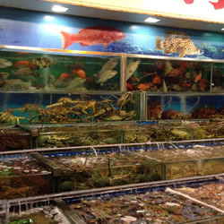 香港美食攻略视频大全,香港美食攻略推荐价格