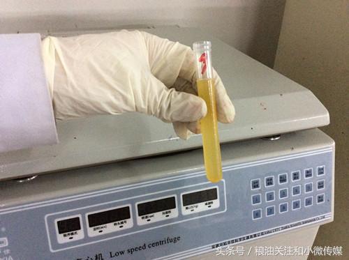 最新白糖进口关税政策,详细介绍白糖进口关税情况详解