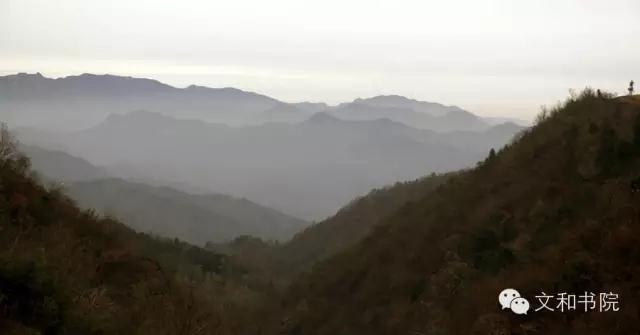 秀美唐湾，天香杨树