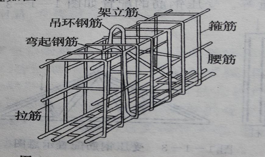 钢筋工知识讲座,钢筋工必背知识