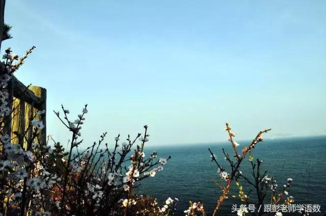 海子的诗全集经典语录,海子的诗从今天起做一个幸福的人