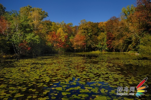 尼康70300变焦镜头,尼康z卡口变焦镜头有哪些