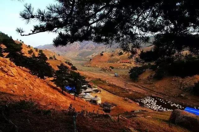 这是我的家乡内蒙古,内蒙古美丽的巴彦淖尔