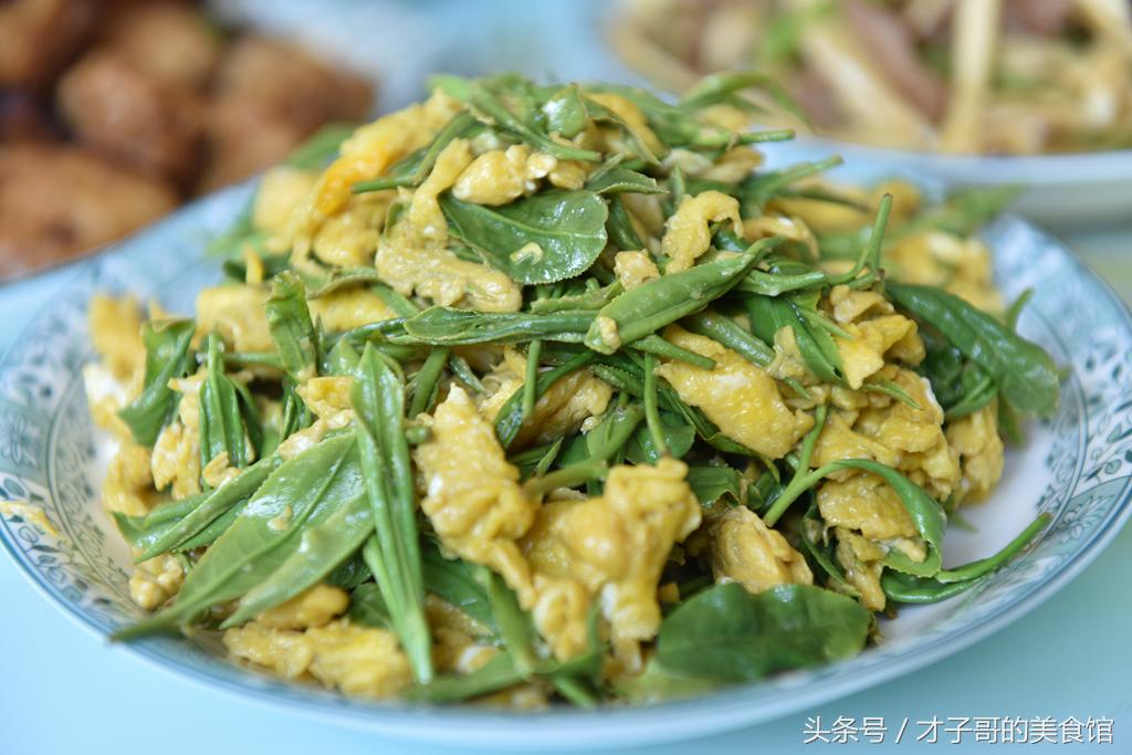 自己动手做茶的感受,自己做茶叶怎么做