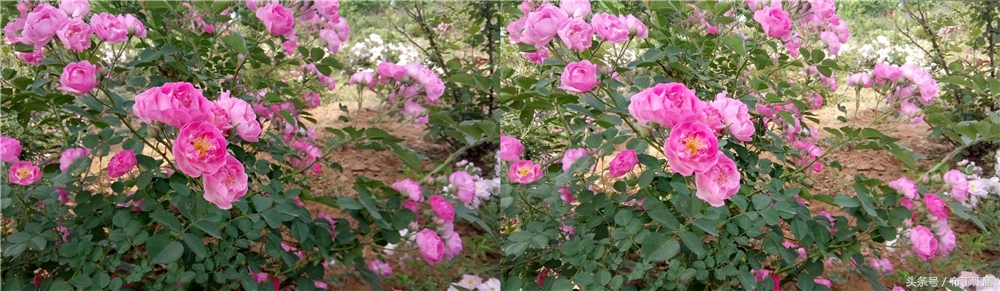 裸眼真能体验震撼出屏？这款裸眼3D手机告诉你答案！