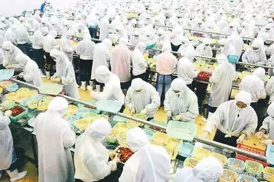 郑文琪龙虾盖浇饭,专做龙虾盖浇饭