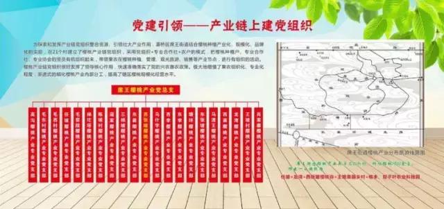 灞桥区产业链*党**组织服务再升级“红色驿站”点亮樱桃别样红