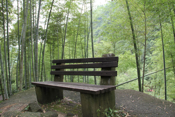 桂林猫儿山游玩攻略,桂林猫儿山一日游攻略