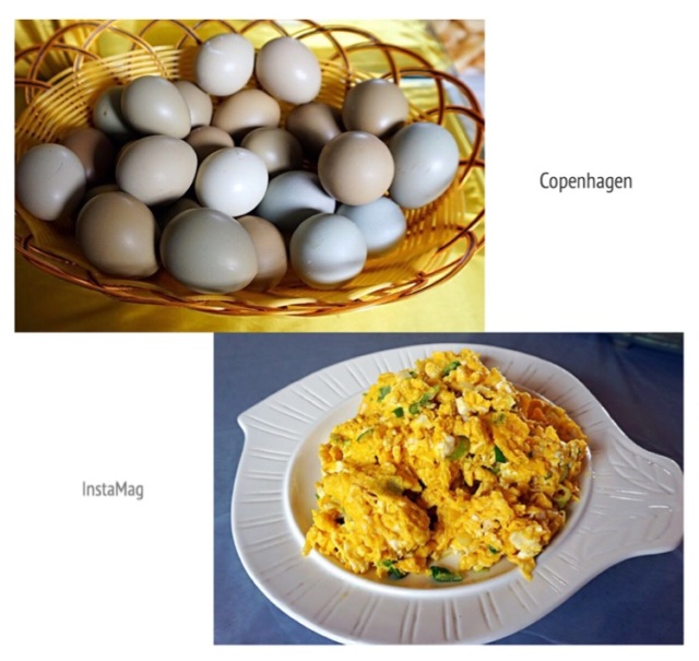 采摘园摘桑葚吃,桑椹采摘园吃桑椹