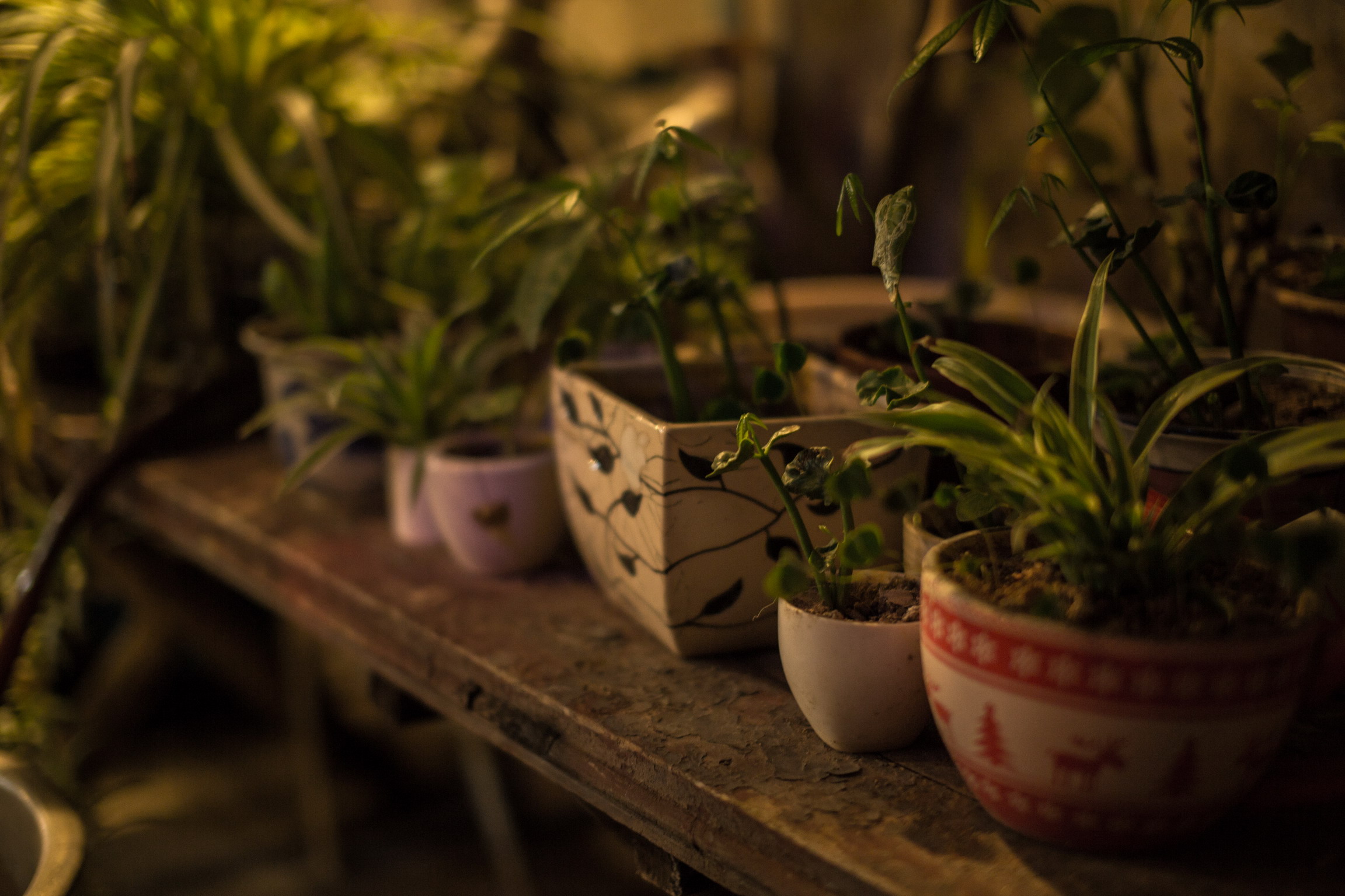 厦门婚纱摄影工作室价格,厦门台北时尚婚纱摄影靠谱吗