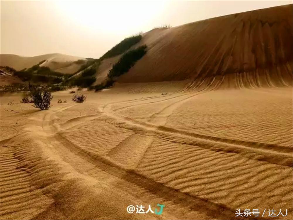 赤峰沙漠集装箱,赤峰草原集装箱